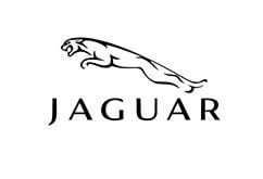 Jaguar Key